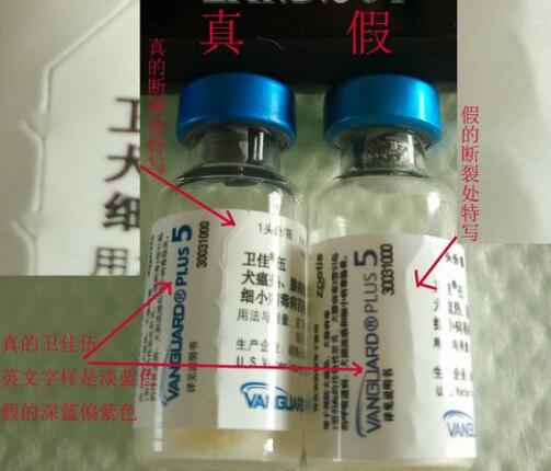 如何辨別輝瑞衛(wèi)佳疫苗真假？(圖3)